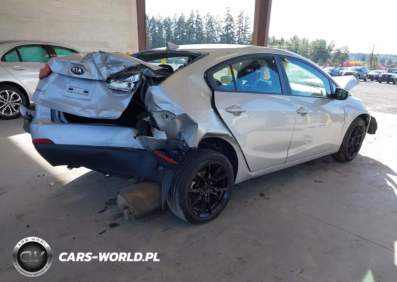 2016 Kia Forte Lx VIN:KNAFK4A69G5449458 - 4