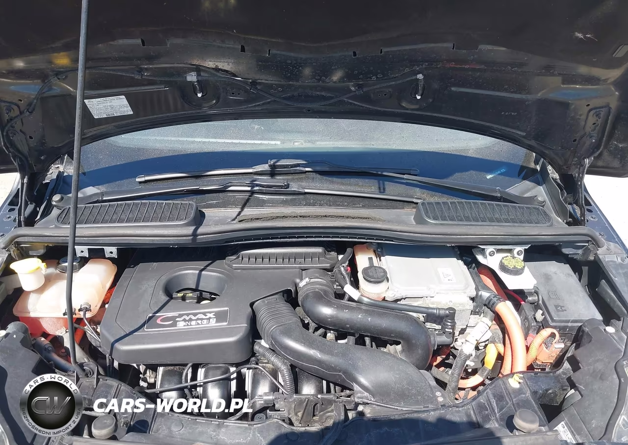 2013 Ford C-Max Energi Sel VIN:1FADP5CU6DL535465 - 10