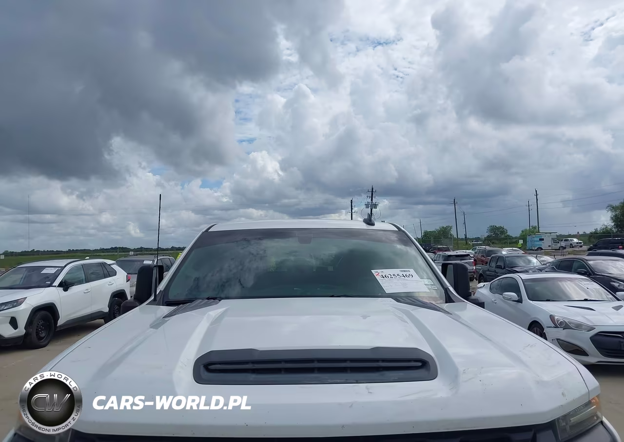 2020 Chevrolet Silverado 2500Hd 4Wd Long Bed Wt VIN:1GC1YLE70LF297132 - 6