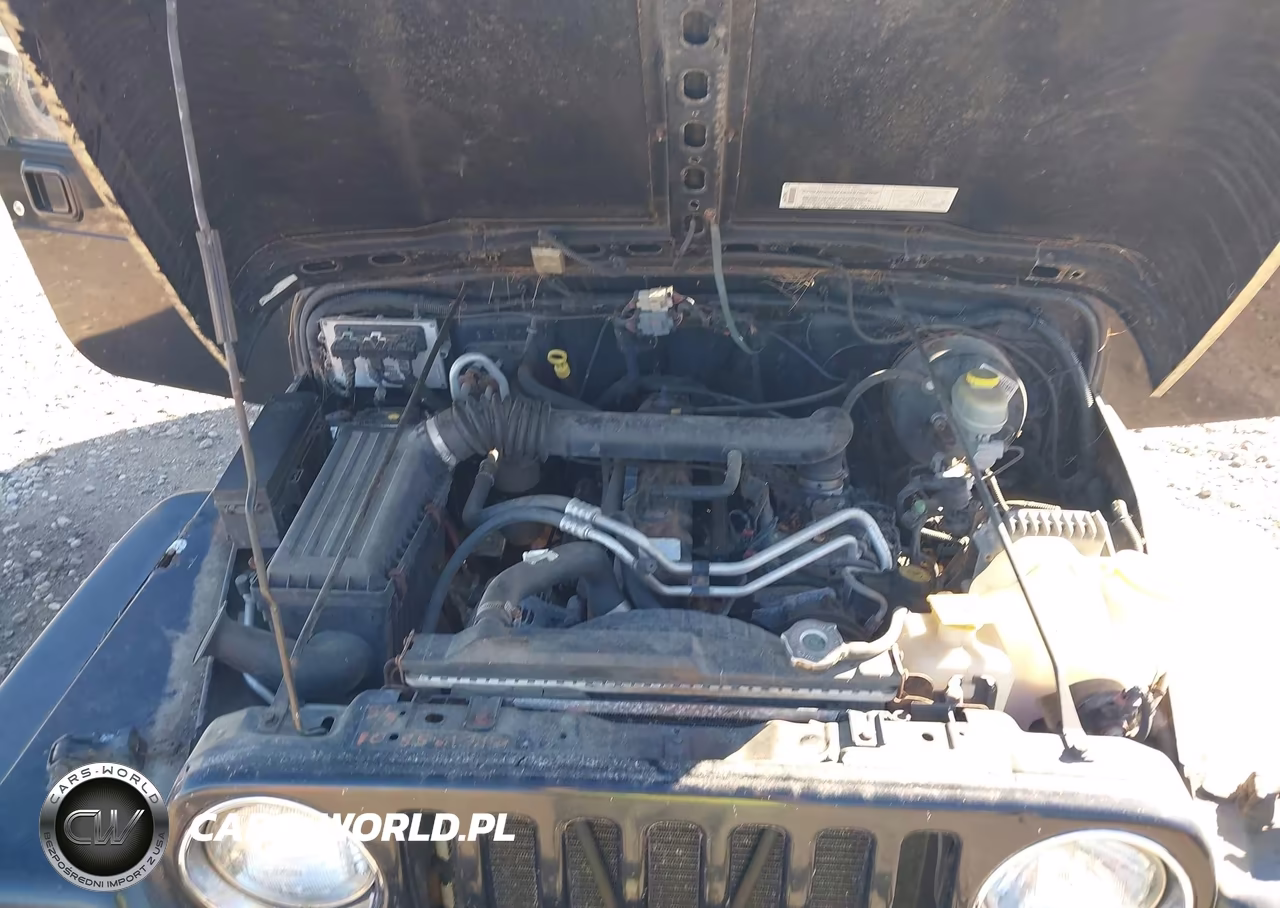 2004 Jeep Wrangler Rubicon VIN:1J4FA69S14P706982 - 10