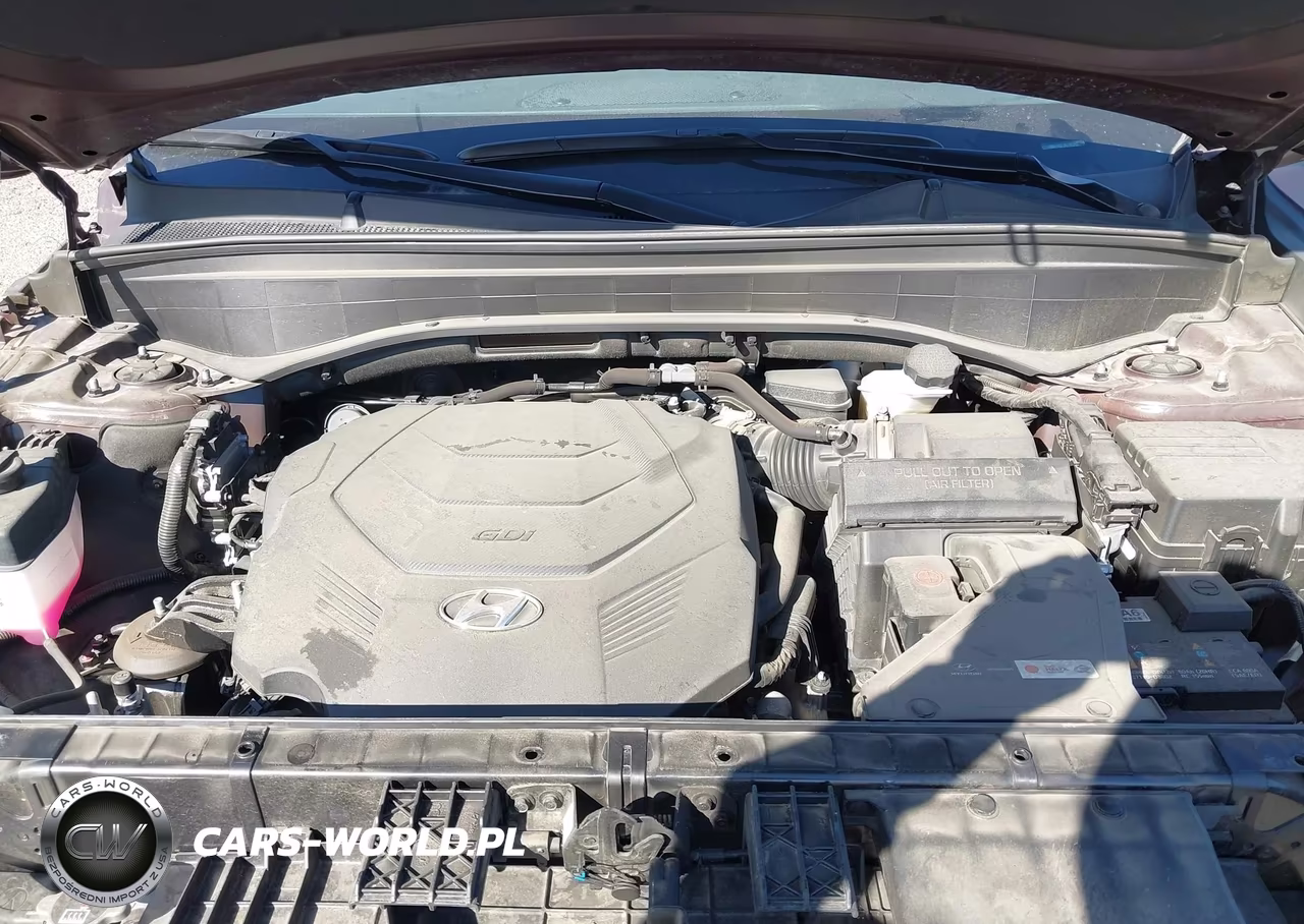 2024 Hyundai Palisade Sel VIN:KM8R24GE2RU783253 - 10