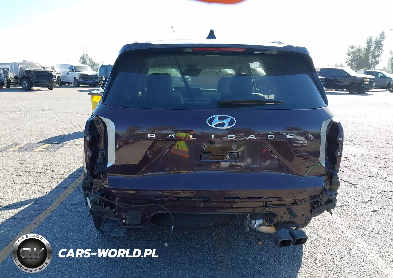 2024 Hyundai Palisade Sel VIN:KM8R24GE2RU783253 - 17