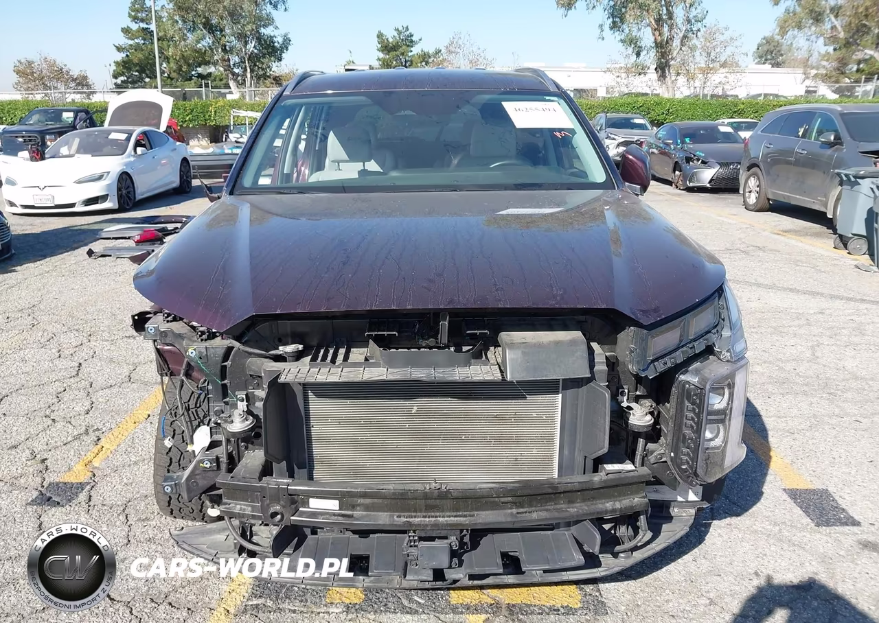2024 Hyundai Palisade Sel VIN:KM8R24GE2RU783253 - 18