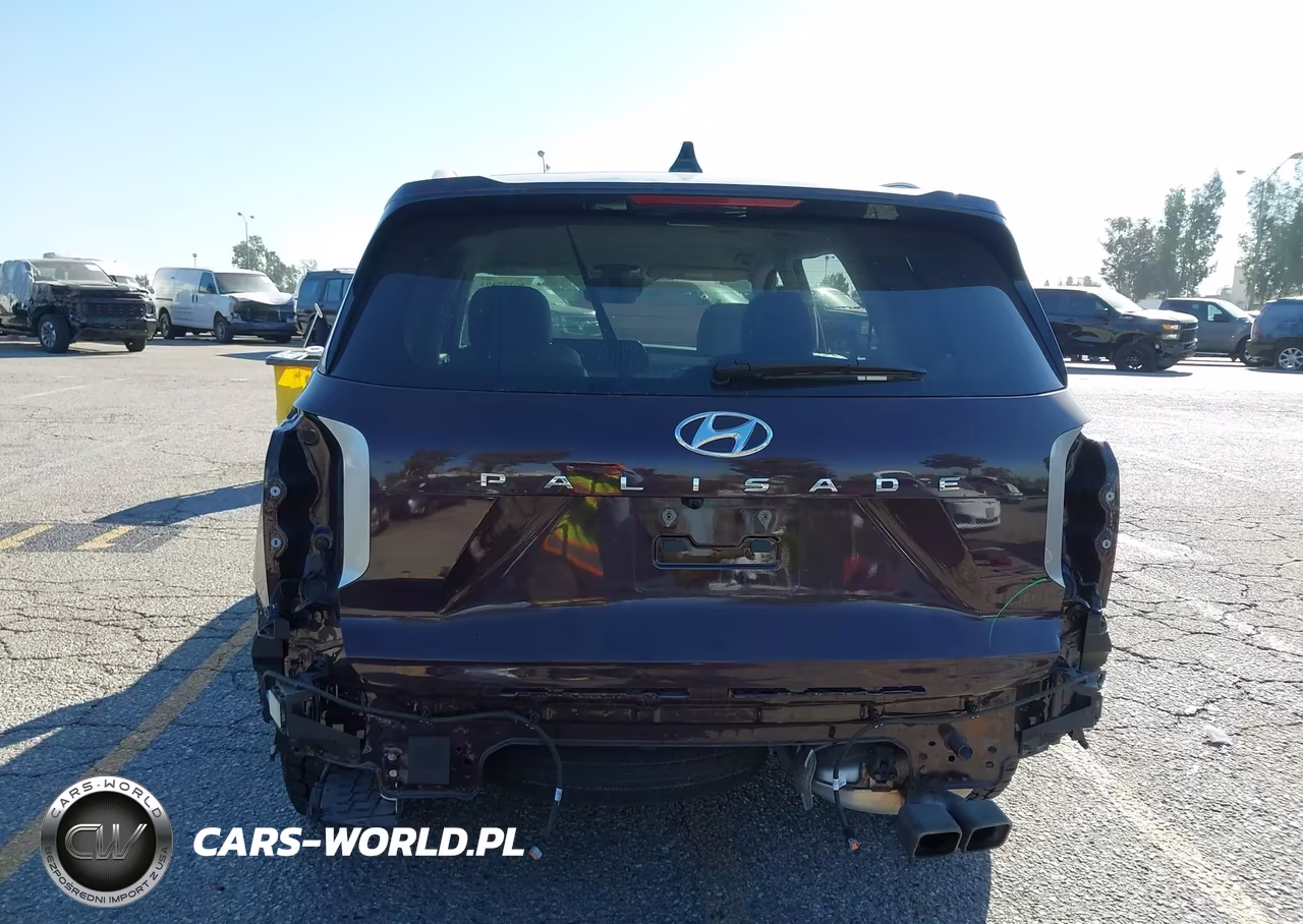 2024 Hyundai Palisade Sel VIN:KM8R24GE2RU783253 - 19