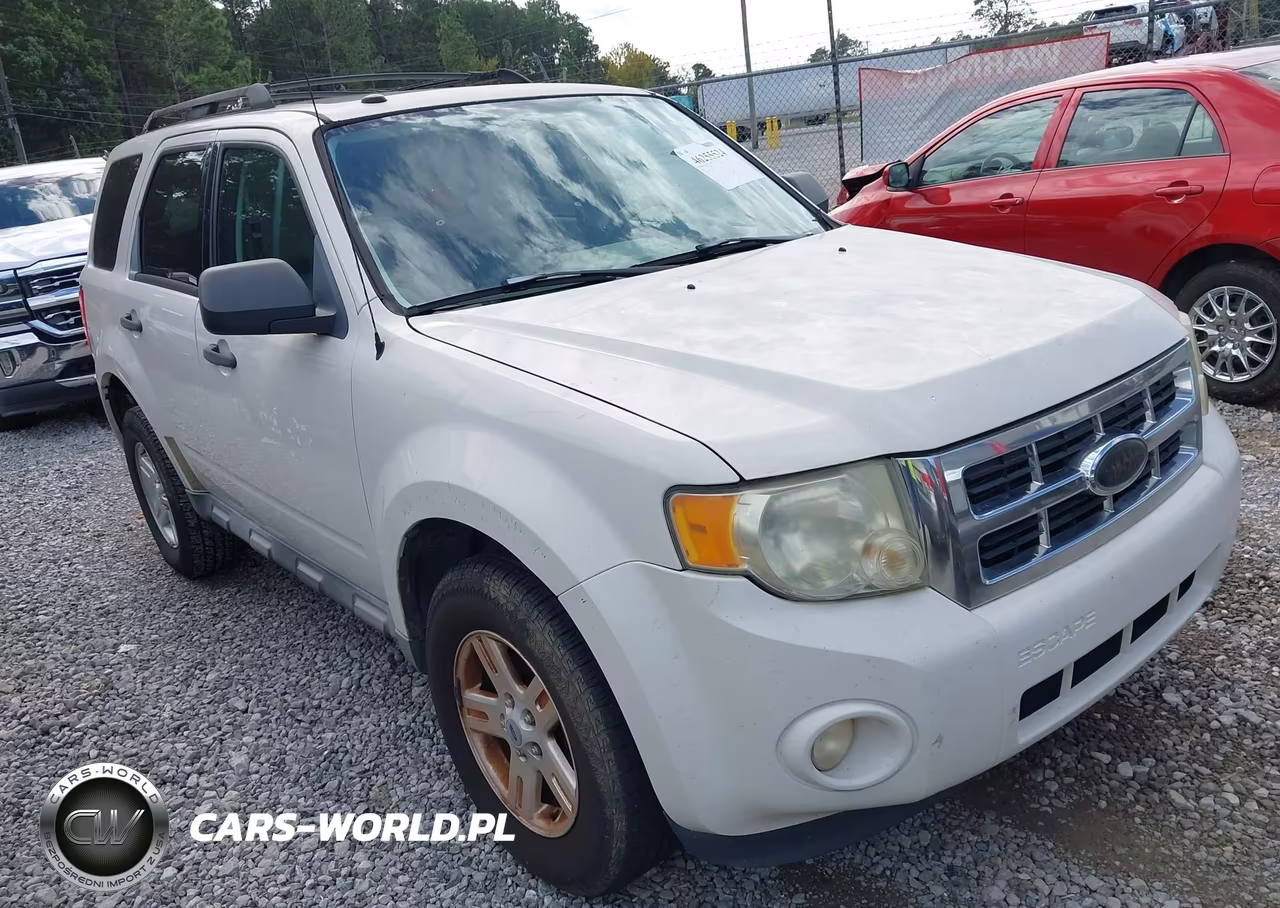 2010 Ford Escape Xlt