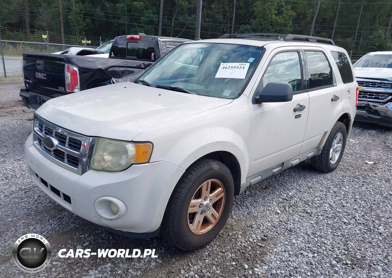 2010 Ford Escape Xlt VIN:1FMCU0DG8AKC61161 - 2