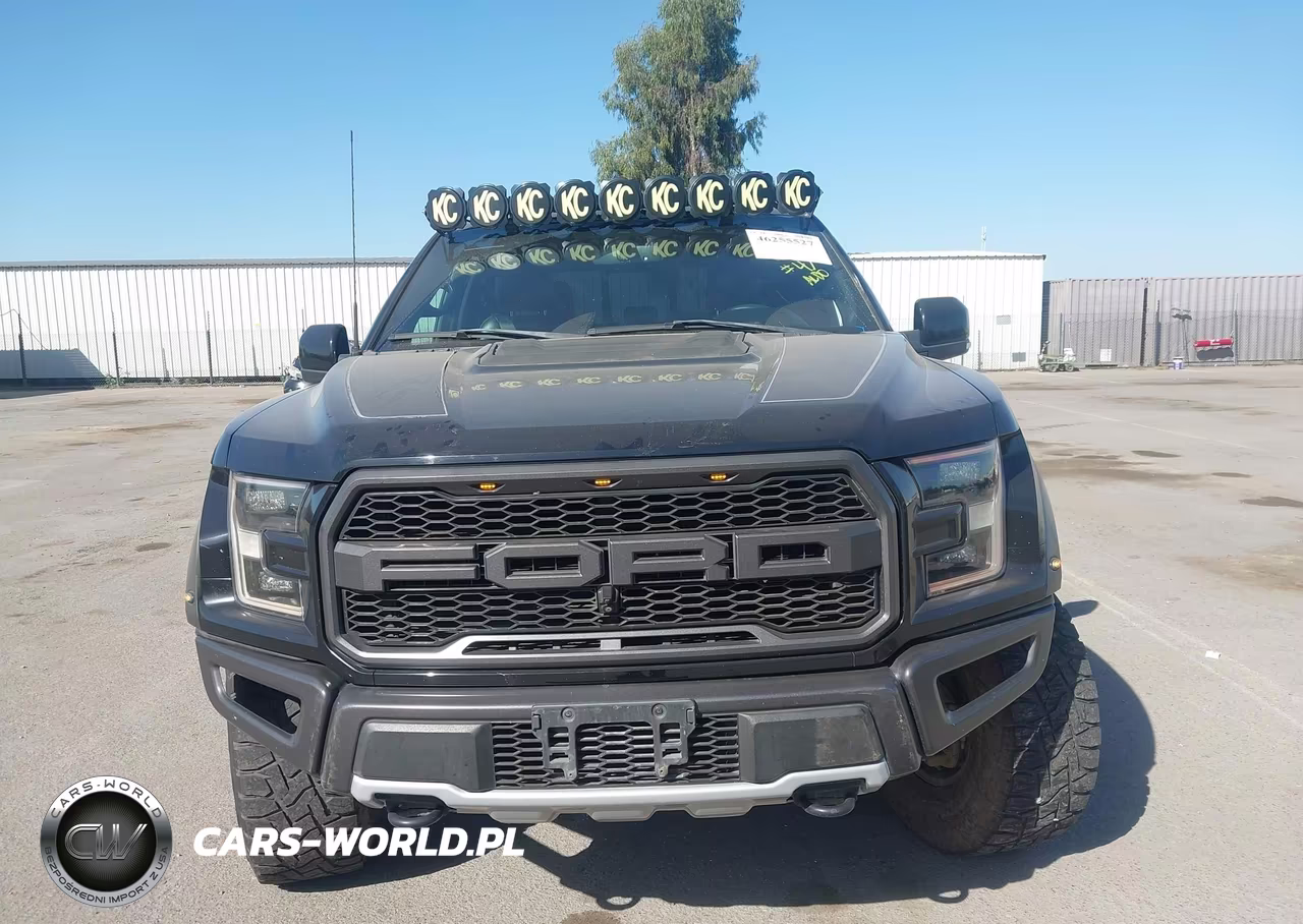 2019 Ford F-150 Raptor VIN:1FTFW1RG3KFC83623 - 13