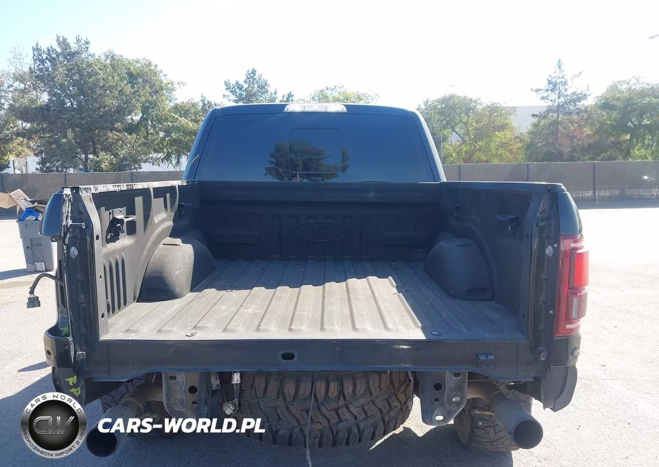 2019 Ford F-150 Raptor VIN:1FTFW1RG3KFC83623 - 17