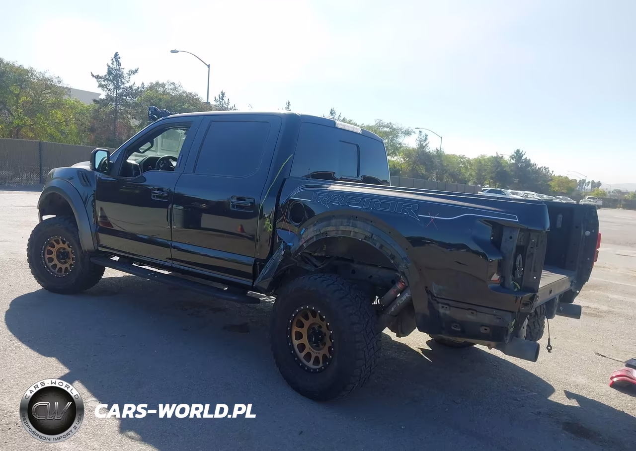2019 Ford F-150 Raptor VIN:1FTFW1RG3KFC83623 - 3
