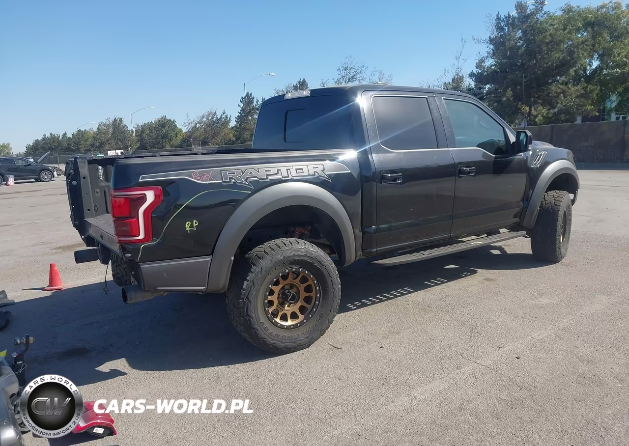 2019 Ford F-150 Raptor VIN:1FTFW1RG3KFC83623 - 4