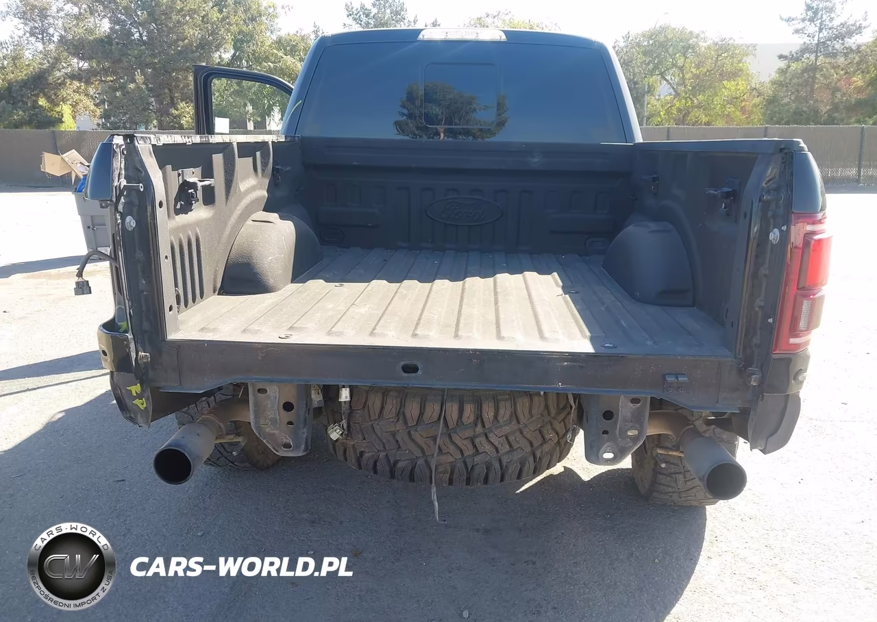 2019 Ford F-150 Raptor VIN:1FTFW1RG3KFC83623 - 6