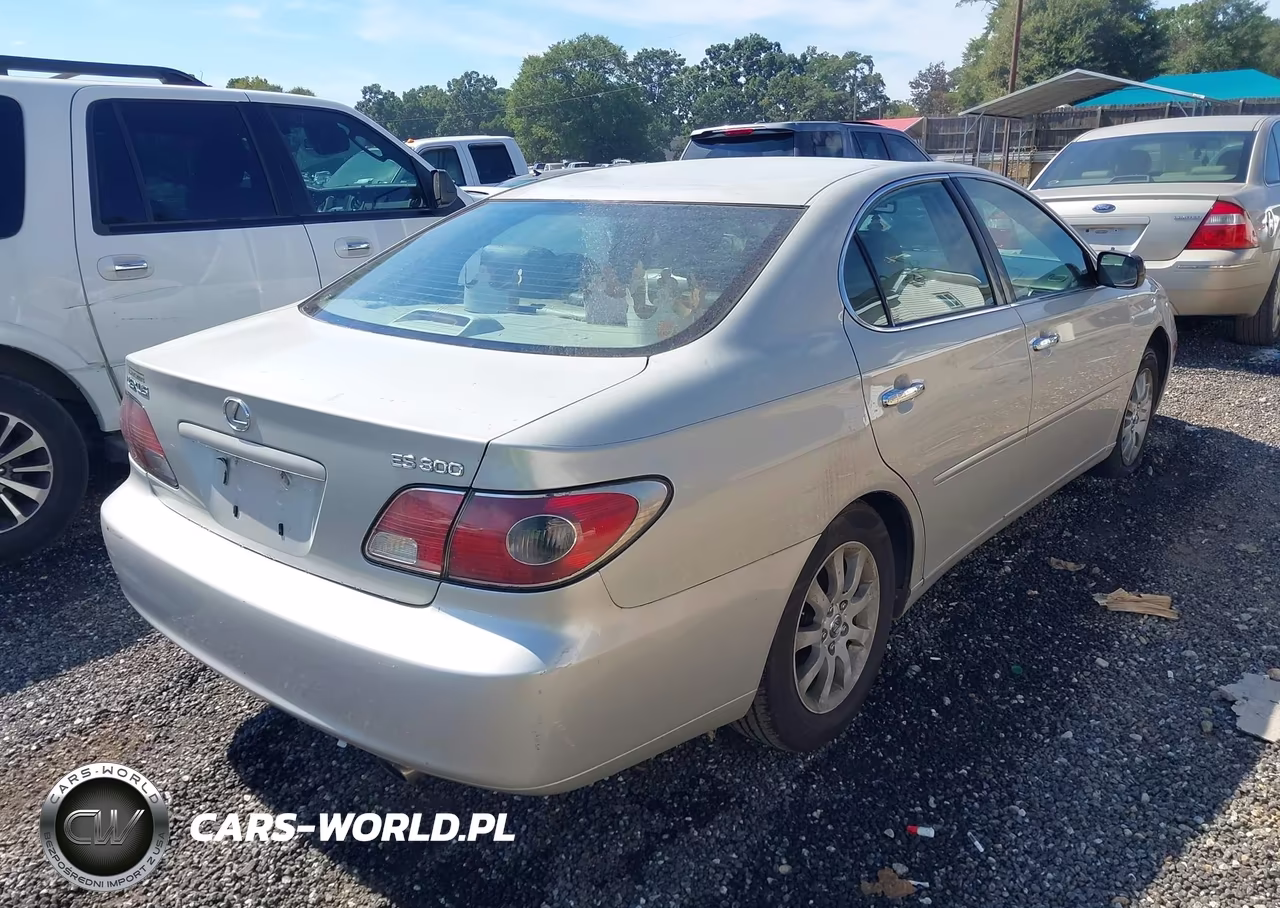 2003 Lexus Es 300 VIN:JTHBF30G235040172 - 4