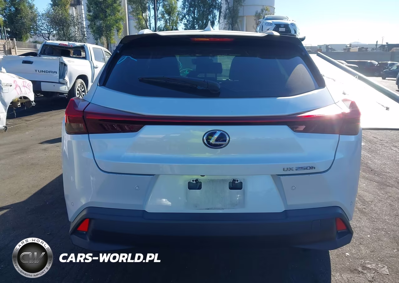 2021 Lexus Ux 250H VIN:JTHP9JBH9M2050417 - 17