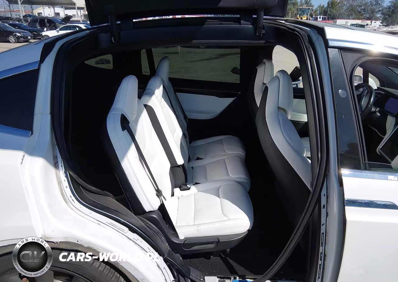 2017 Tesla Model X P100D VIN:5YJXCAE42HF075903 - 8