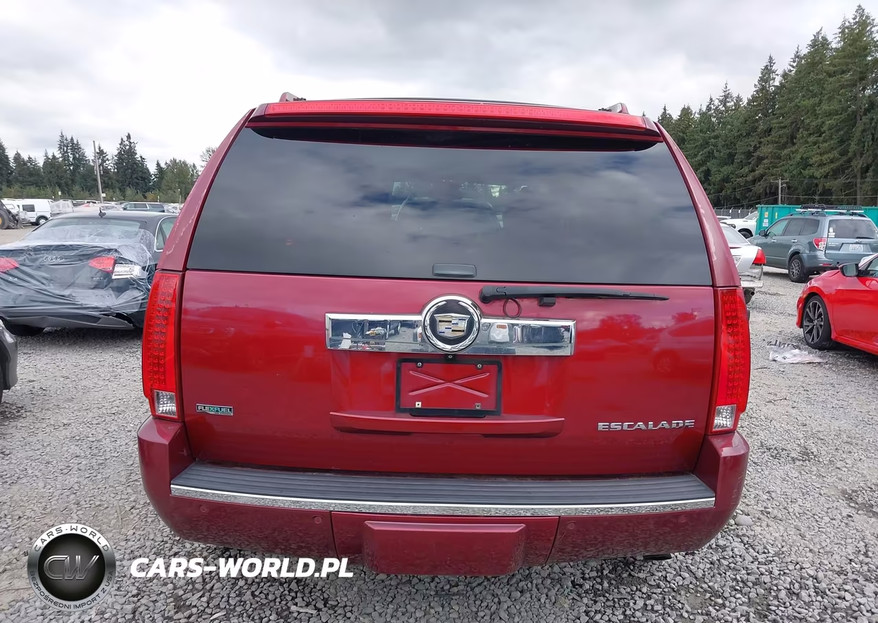 2009 Cadillac Escalade Standard VIN:1GYFK23279R182389 - 16