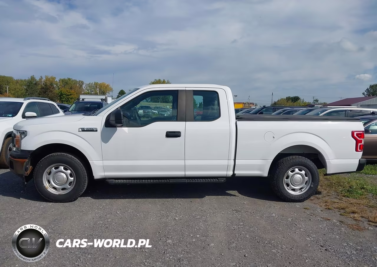 2020 Ford F-150 Xl VIN:1FTEX1CP9LKE13611 - 14