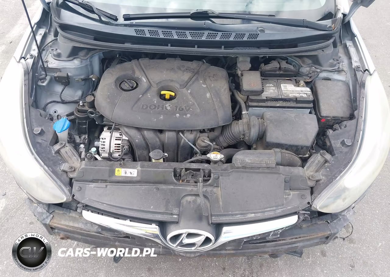 2016 Hyundai Elantra Value Edition VIN:5NPDH4AE2GH729562 - 10