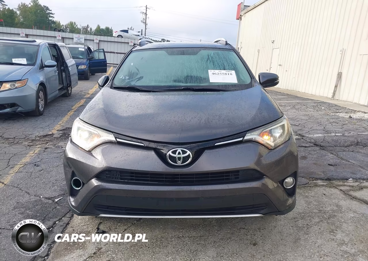 2016 Toyota Rav4 Xle VIN:2T3WFREV0GW260342 - 12
