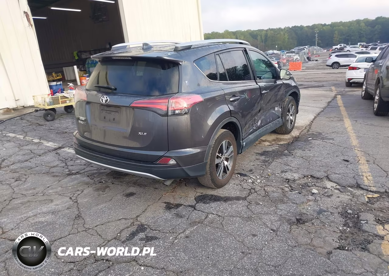2016 Toyota Rav4 Xle VIN:2T3WFREV0GW260342 - 4