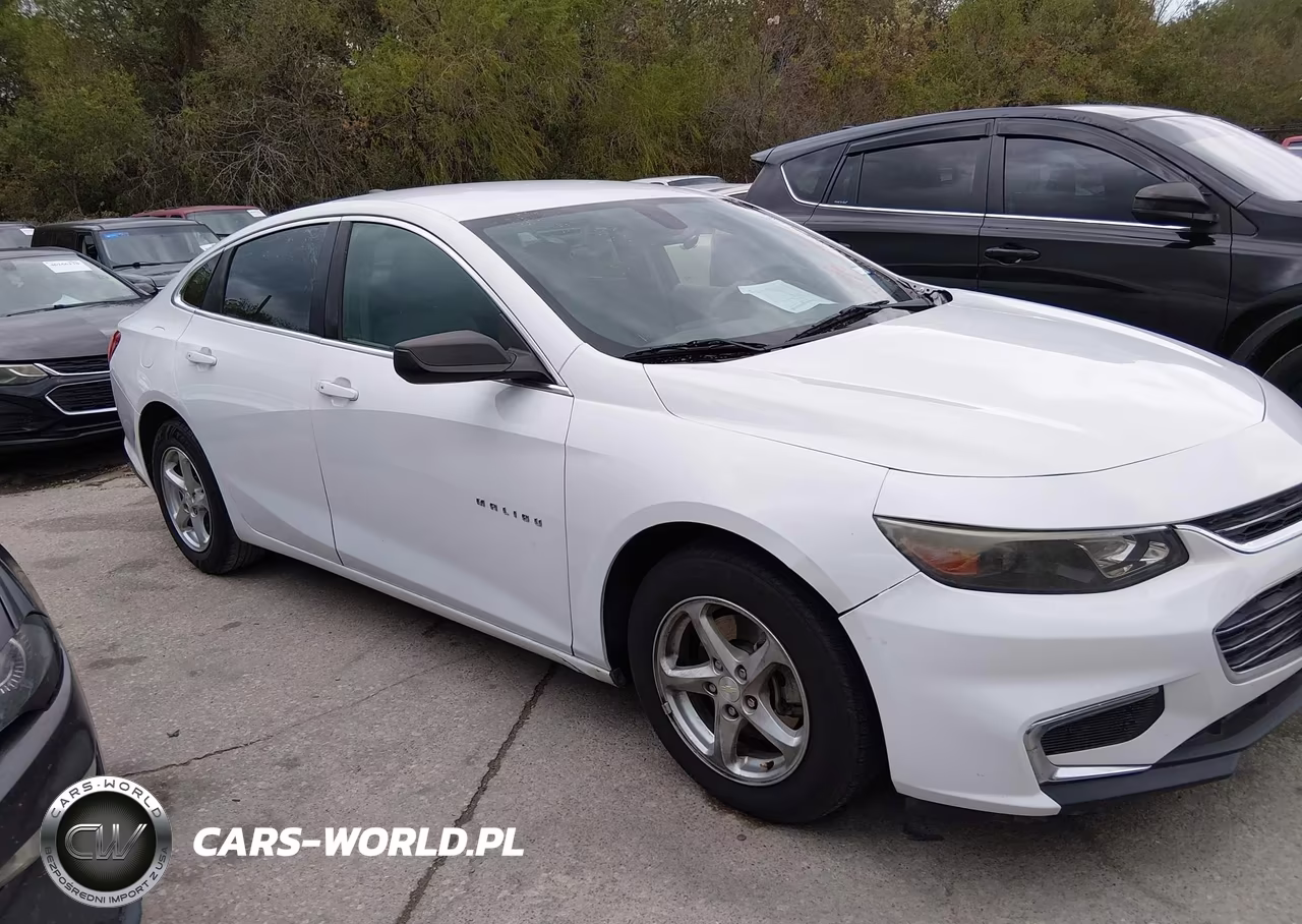 2017 Chevrolet Malibu 1Fl VIN:1G1ZC5ST0HF225751 - 13