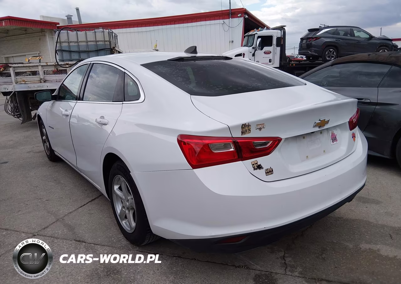 2017 Chevrolet Malibu 1Fl VIN:1G1ZC5ST0HF225751 - 3