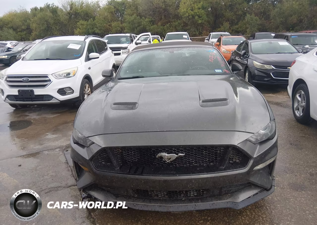 2018 Ford Mustang Gt Premium VIN:1FATP8FFXJ5124922 - 12