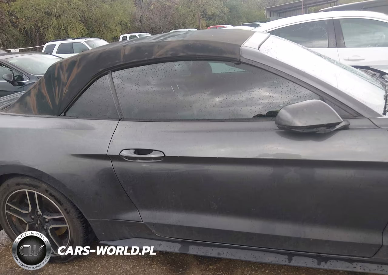 2018 Ford Mustang Gt Premium VIN:1FATP8FFXJ5124922 - 13