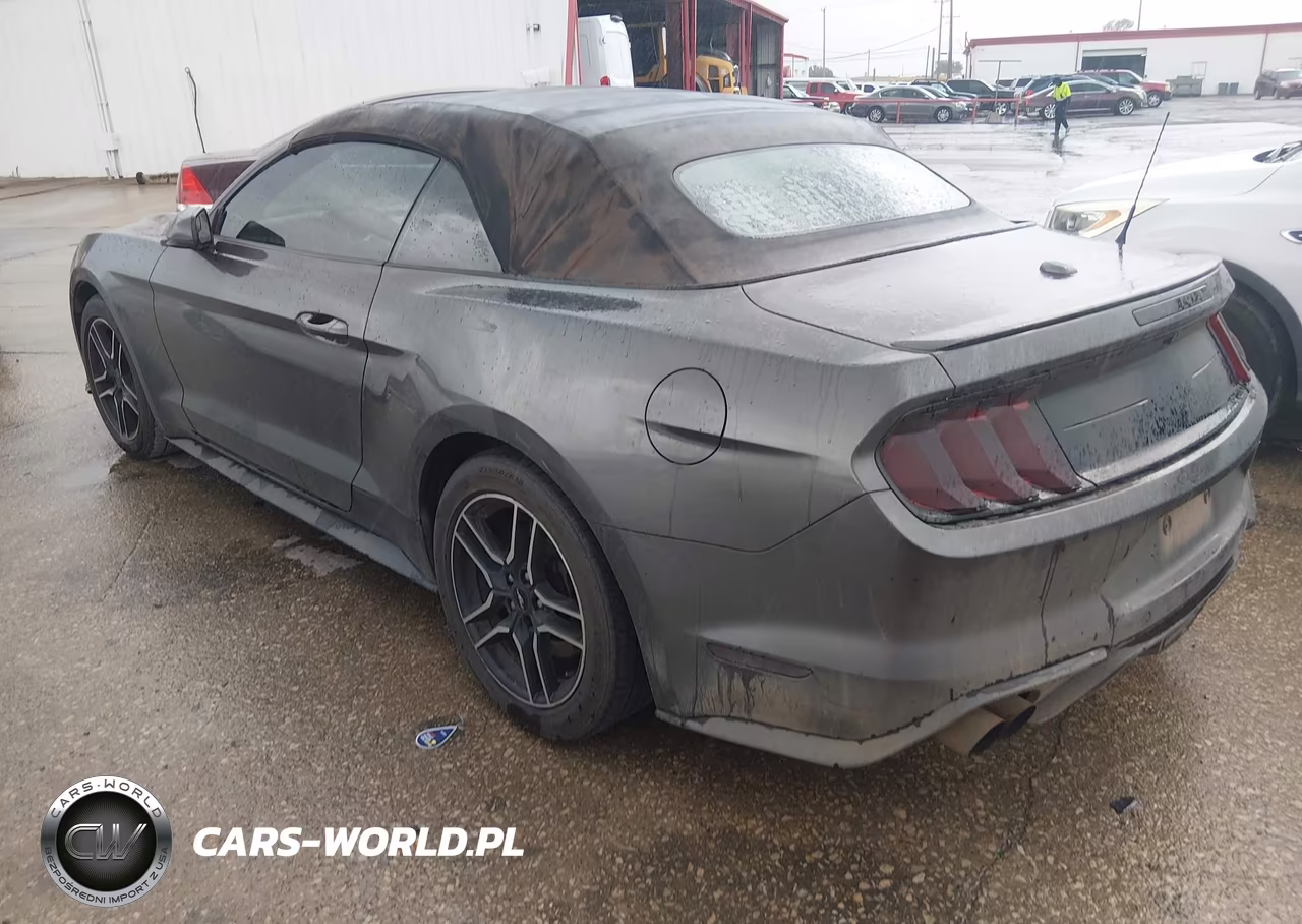 2018 Ford Mustang Gt Premium VIN:1FATP8FFXJ5124922 - 3