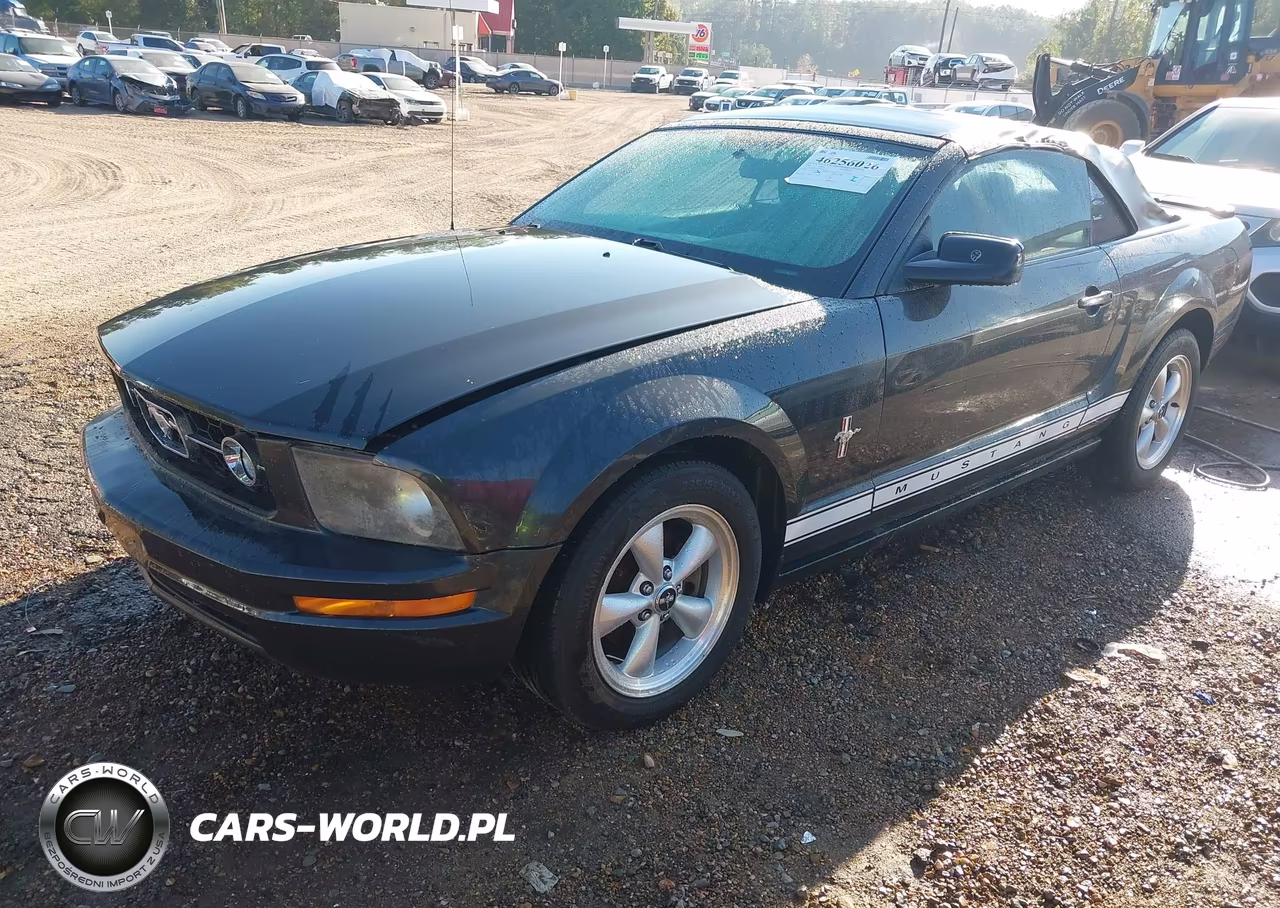 2008 Ford Mustang V6 Deluxe-V6 Premium VIN:1ZVHT84N585170803 - 2