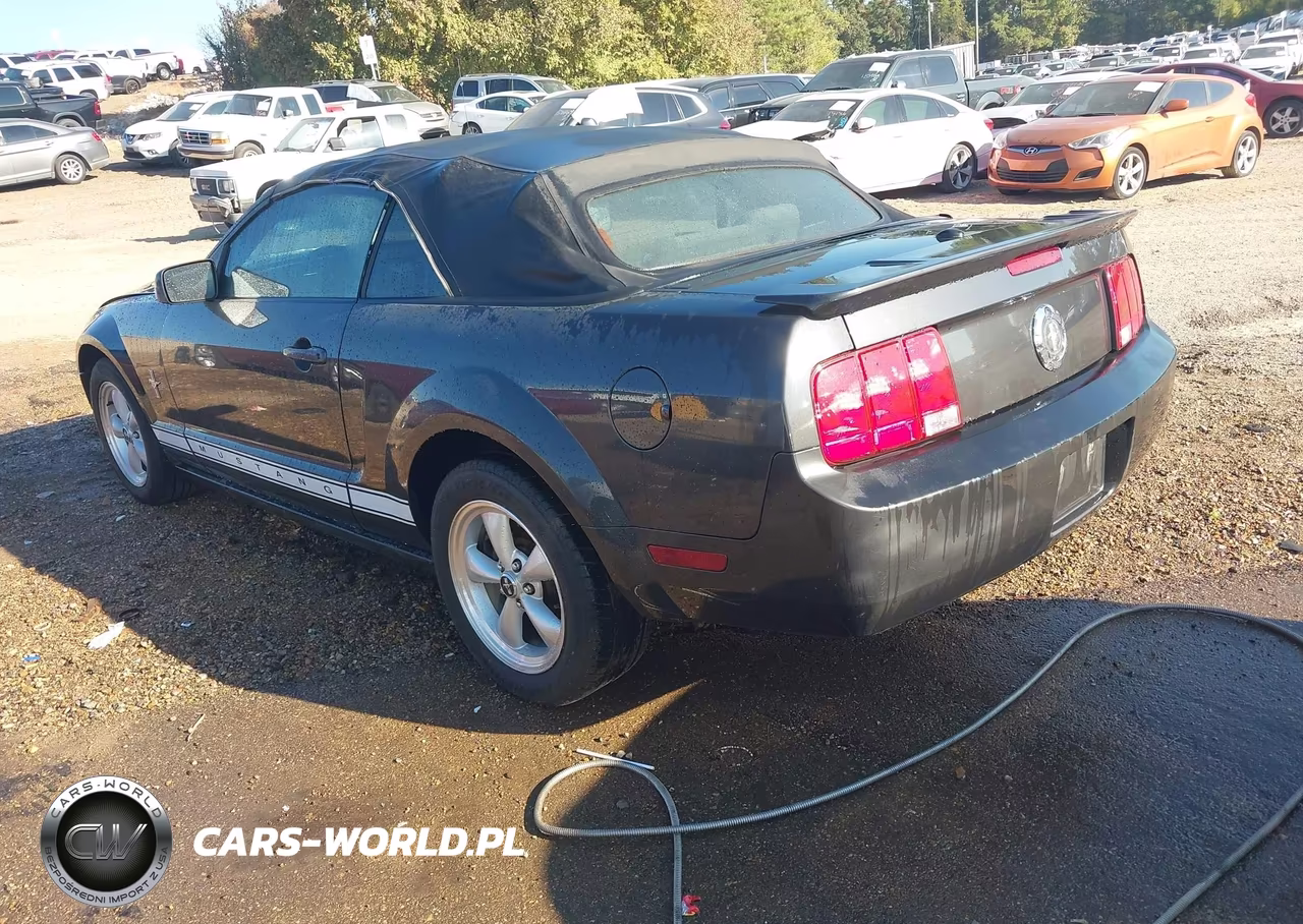 2008 Ford Mustang V6 Deluxe-V6 Premium VIN:1ZVHT84N585170803 - 3