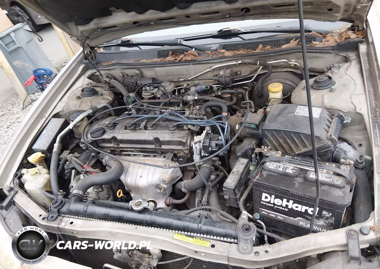 2000 Nissan Altima Gle-Gxe-Se-Xe VIN:1N4DL01D5YC126588 - 10