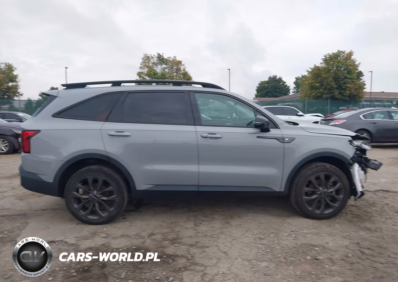 2023 Kia Sorento X-Line Ex VIN:5XYRHDLFXPG250812 - 13