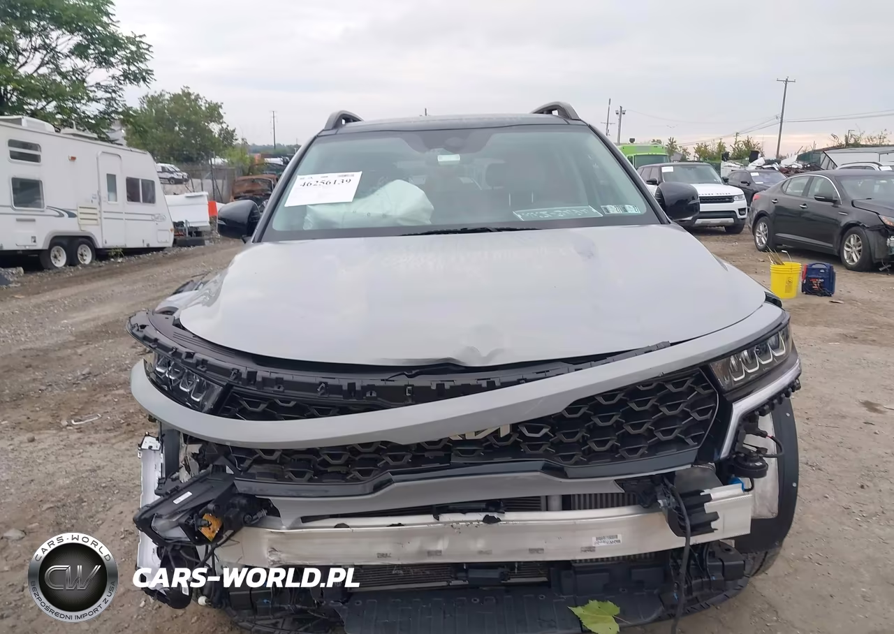 2023 Kia Sorento X-Line Ex VIN:5XYRHDLFXPG250812 - 6