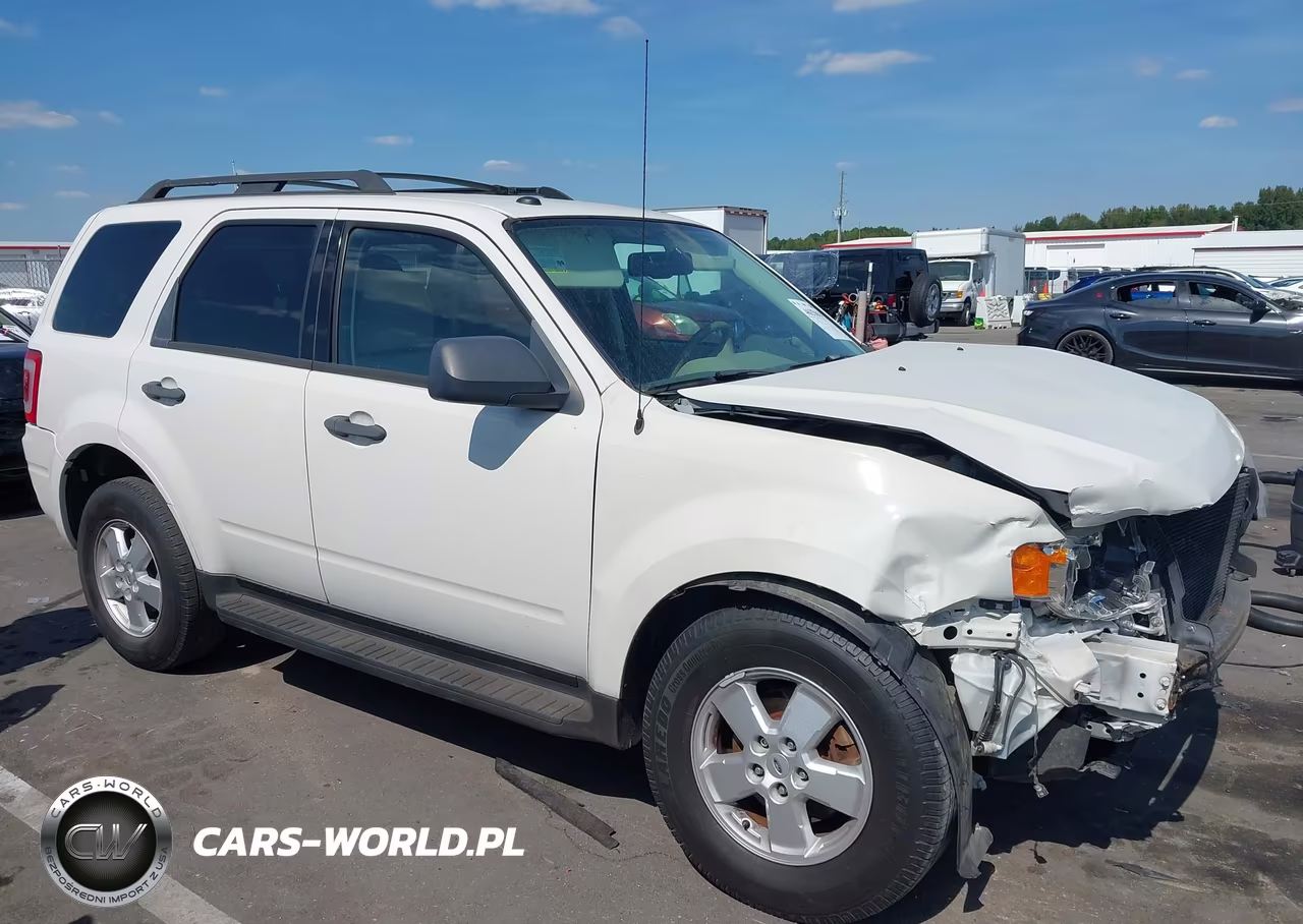 2010 Ford Escape Xlt