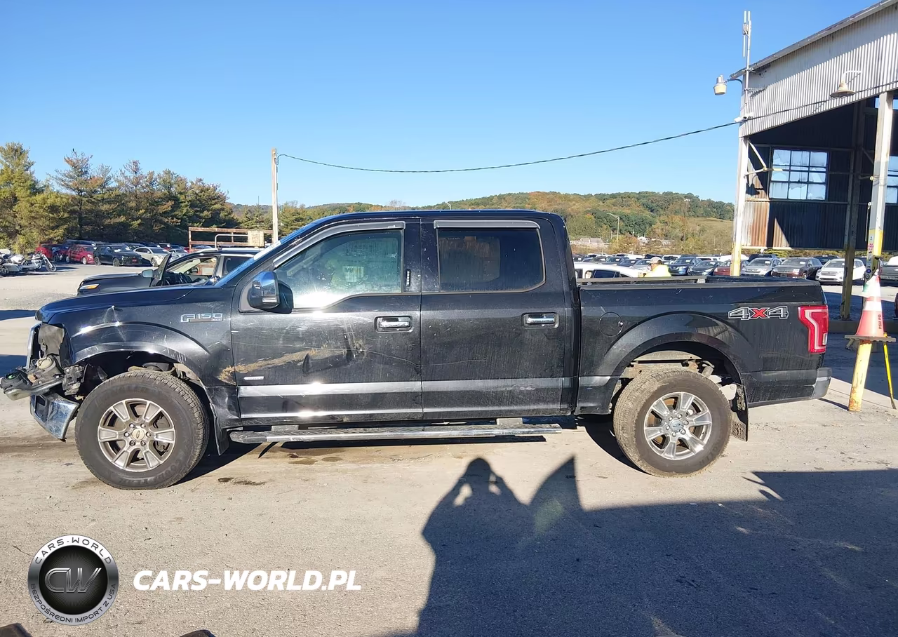 2015 Ford F150 Supercrew VIN:1FTEW1EG5FFC60240 - 14