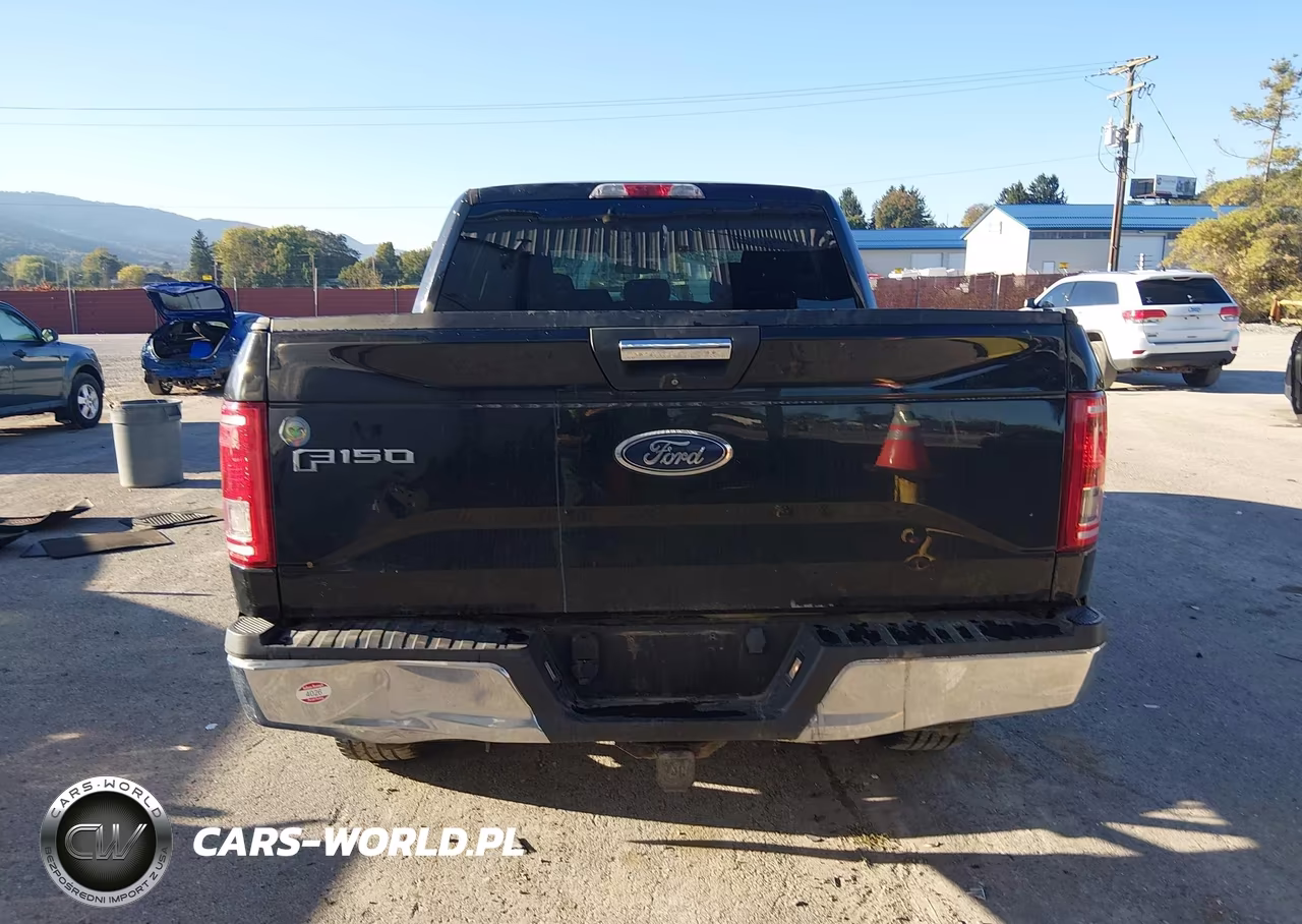 2015 Ford F150 Supercrew VIN:1FTEW1EG5FFC60240 - 16