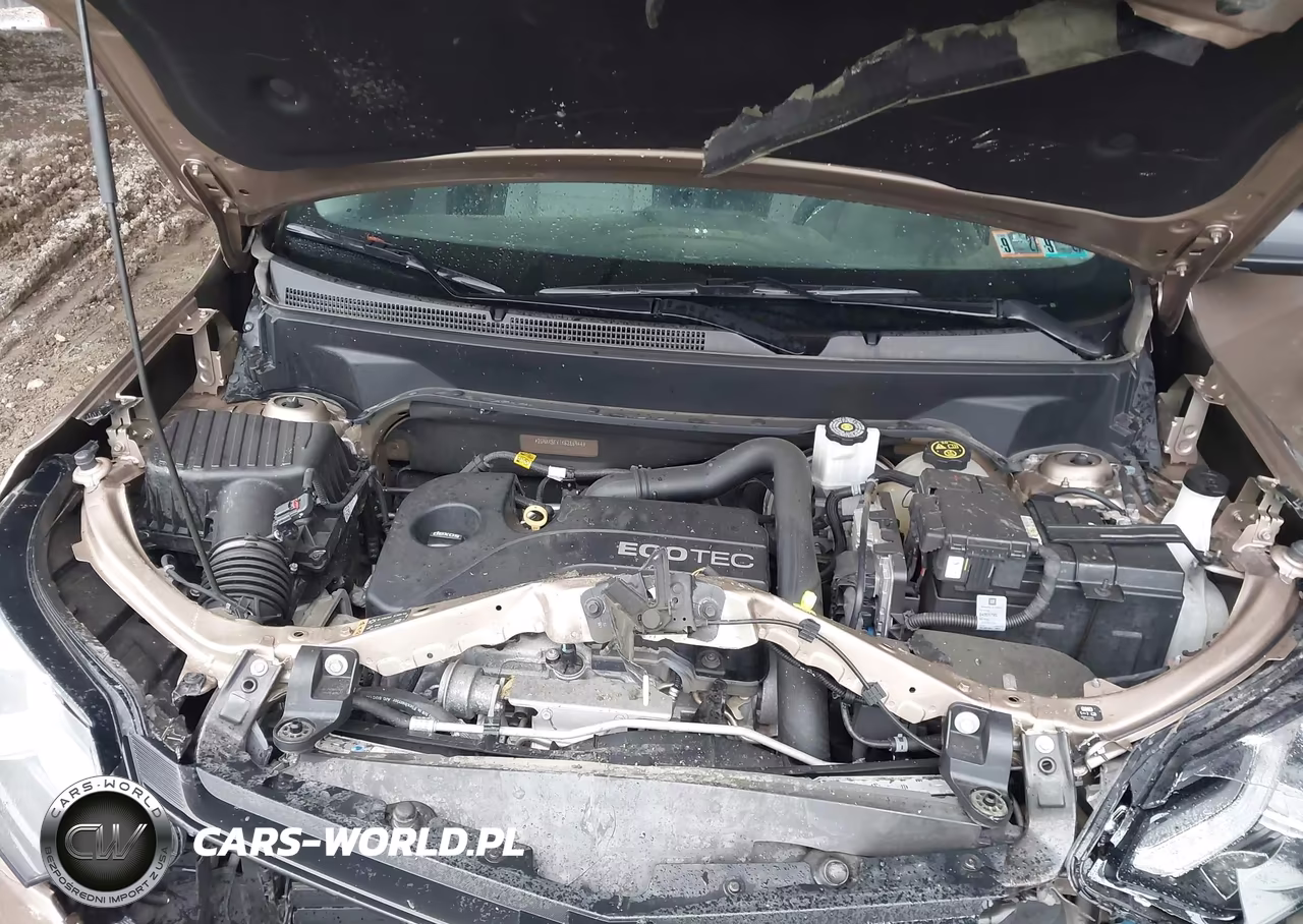 2019 Chevrolet Equinox Ls VIN:2GNAXSEV1K6286944 - 10