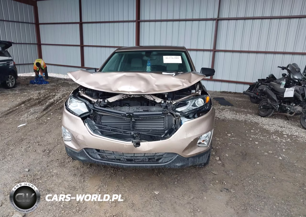 2019 Chevrolet Equinox Ls VIN:2GNAXSEV1K6286944 - 12