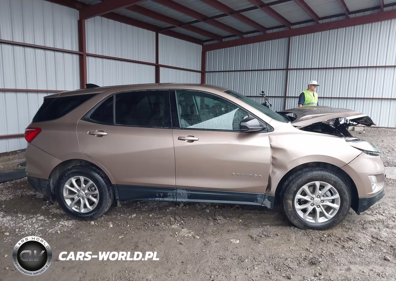 2019 Chevrolet Equinox Ls VIN:2GNAXSEV1K6286944 - 13