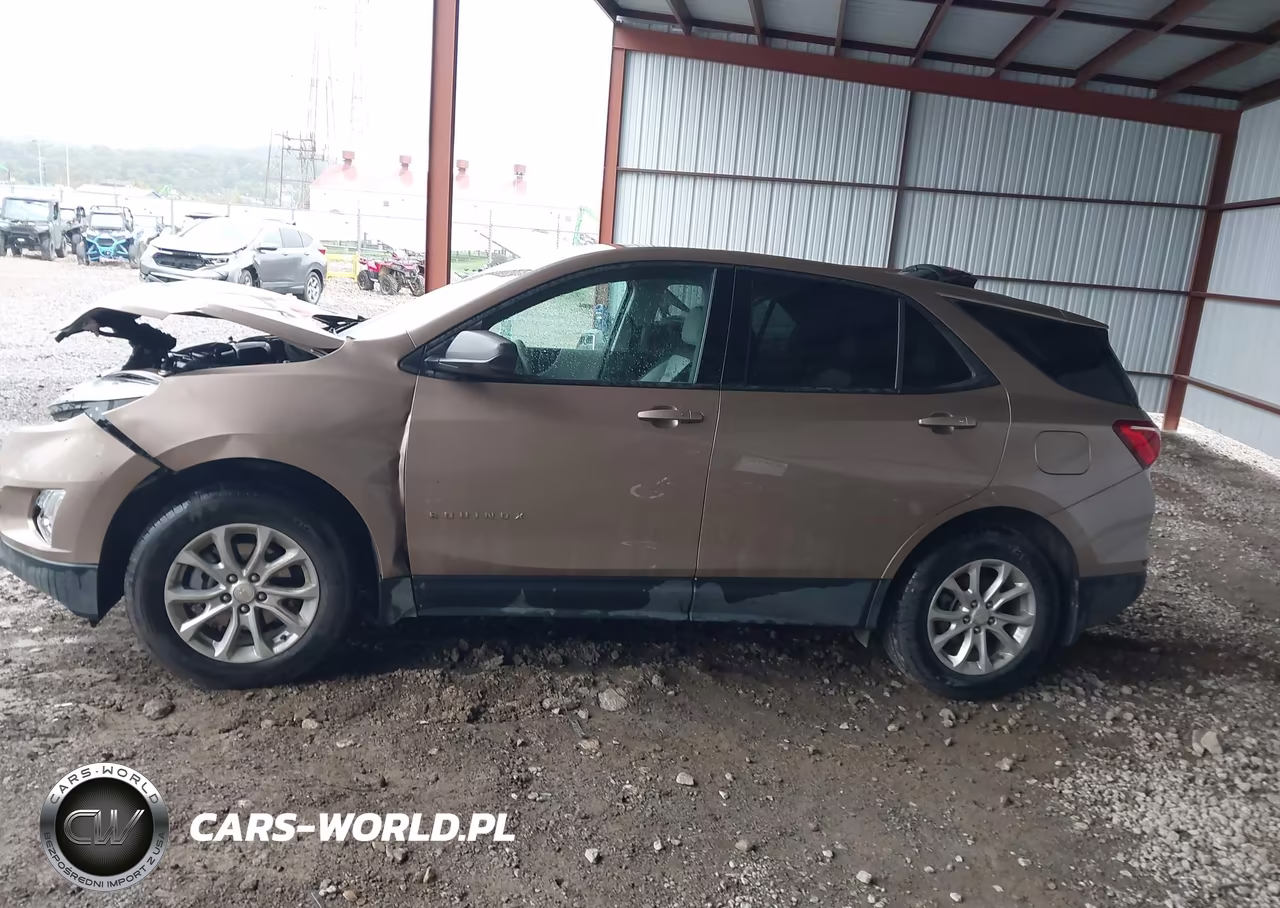 2019 Chevrolet Equinox Ls VIN:2GNAXSEV1K6286944 - 14