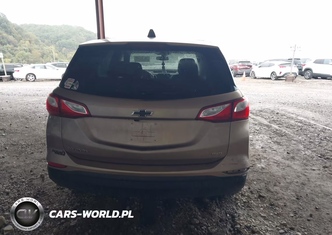 2019 Chevrolet Equinox Ls VIN:2GNAXSEV1K6286944 - 16
