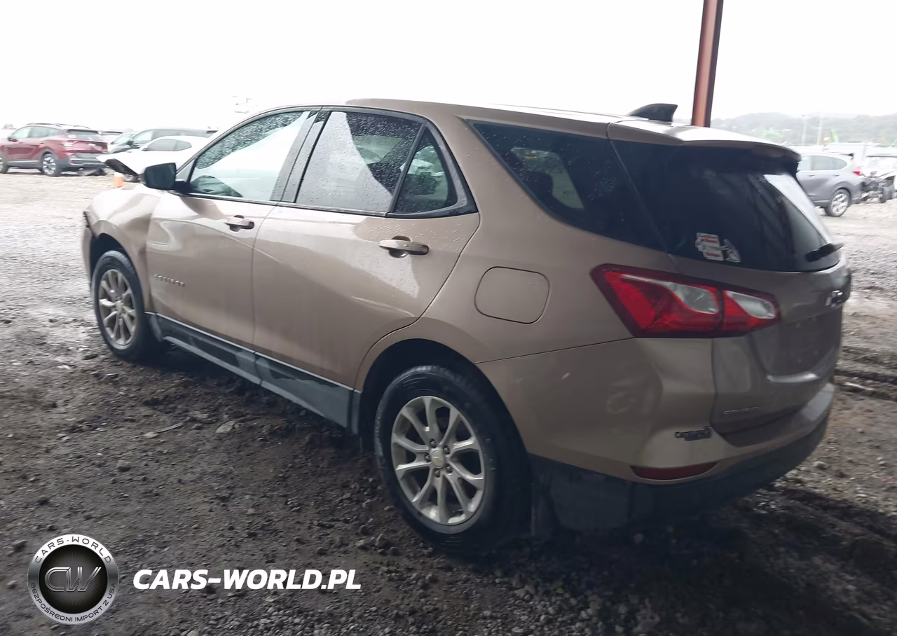 2019 Chevrolet Equinox Ls VIN:2GNAXSEV1K6286944 - 3