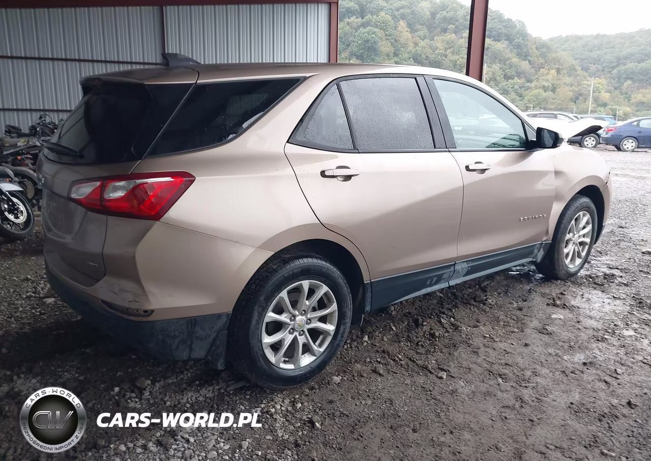 2019 Chevrolet Equinox Ls VIN:2GNAXSEV1K6286944 - 4