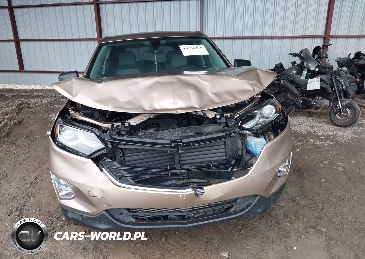 2019 Chevrolet Equinox Ls VIN:2GNAXSEV1K6286944 - 6