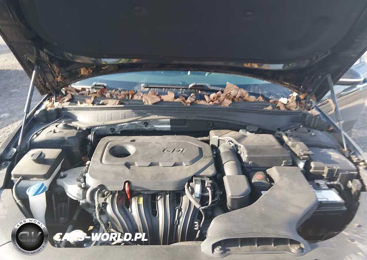 2016 Kia Optima Ex VIN:5XXGU4L33GG095615 - 10