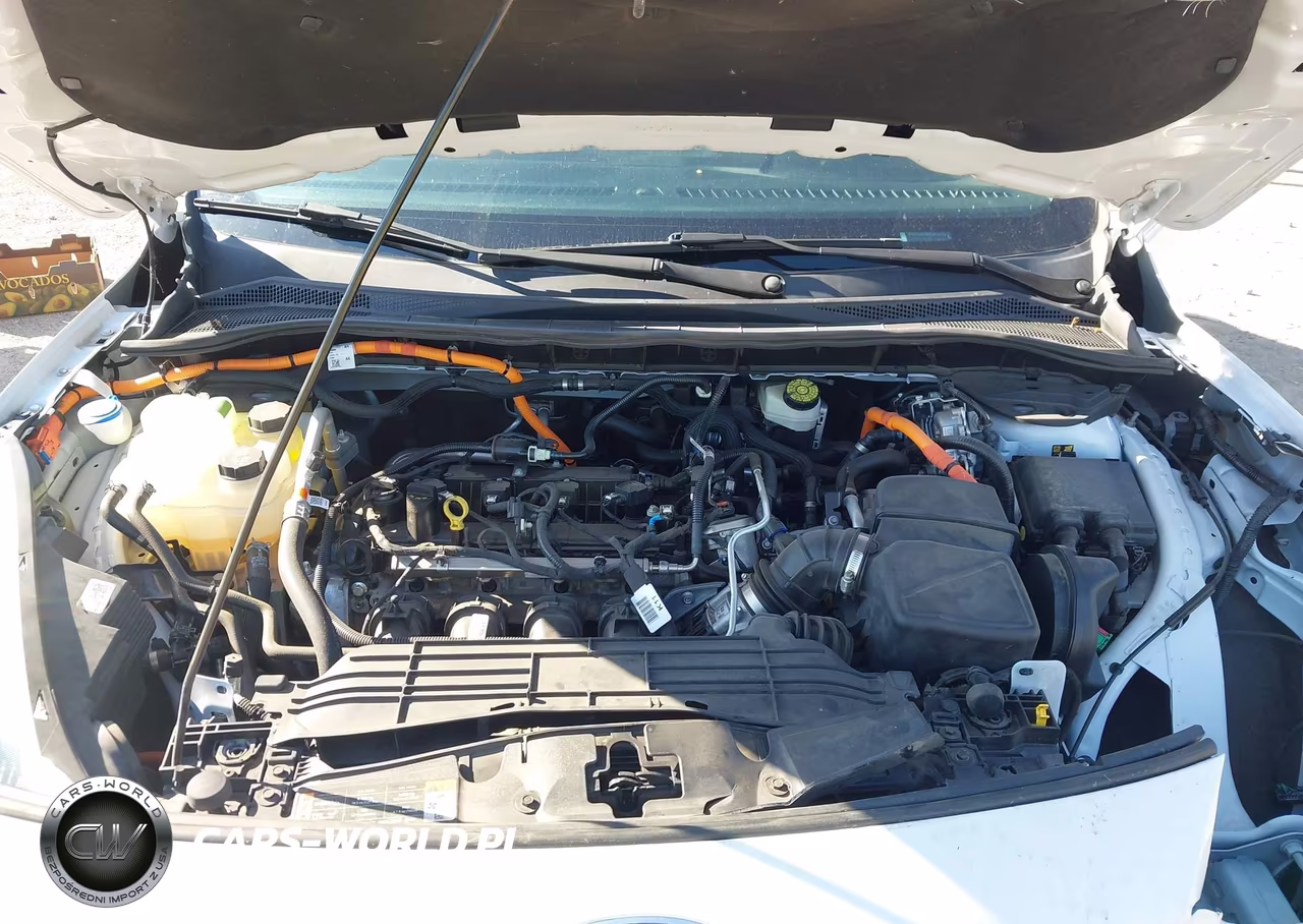 2021 Ford Escape Se Hybrid VIN:1FMCU0BZ0MUB15799 - 10