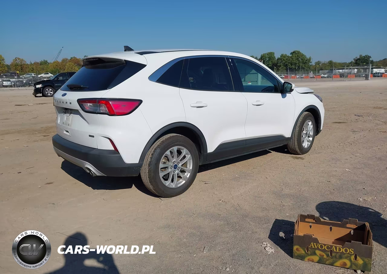 2021 Ford Escape Se Hybrid VIN:1FMCU0BZ0MUB15799 - 4
