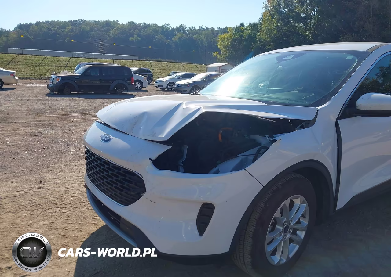 2021 Ford Escape Se Hybrid VIN:1FMCU0BZ0MUB15799 - 6