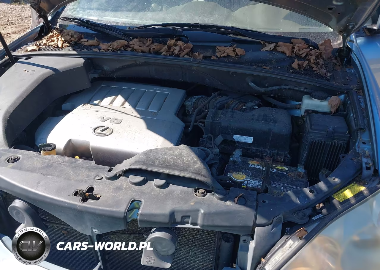2009 Lexus Rx 350 VIN:2T2HK31U09C117463 - 10
