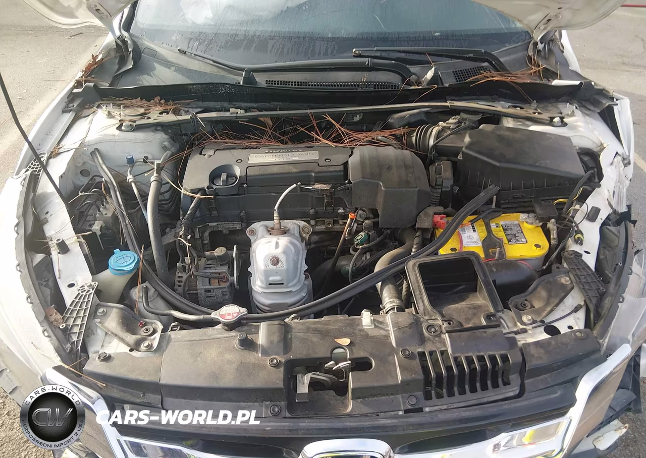 2013 Honda Accord Ex-L VIN:1HGCR2F87DA000123 - 10